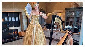 Soir&eacute;e th&egrave;me Baroque