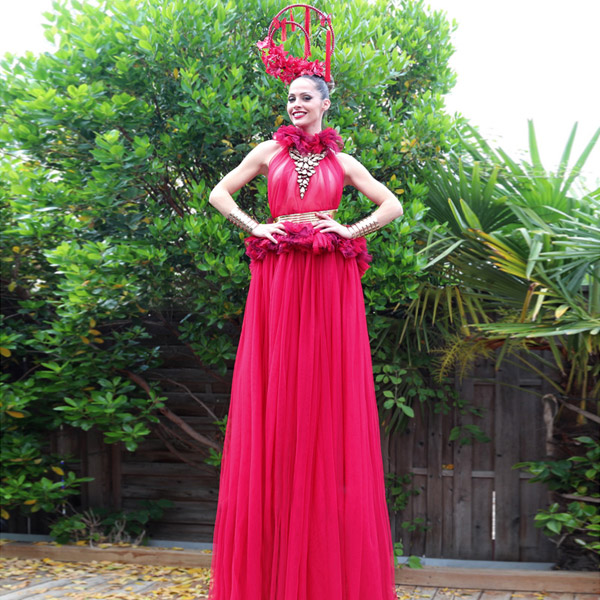 Echassier longue robe rouge