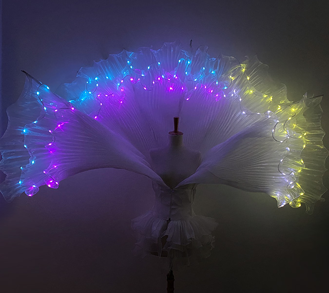 Echassier lumineux LED multicolore